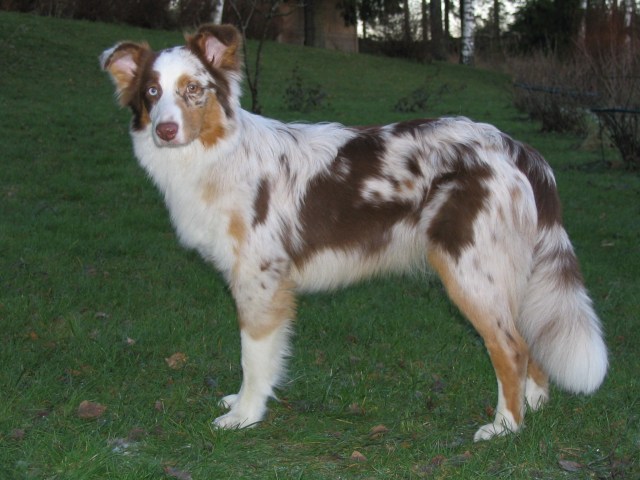 Stella 12.12.2004