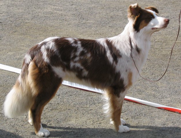 Stella 11.6.2005
